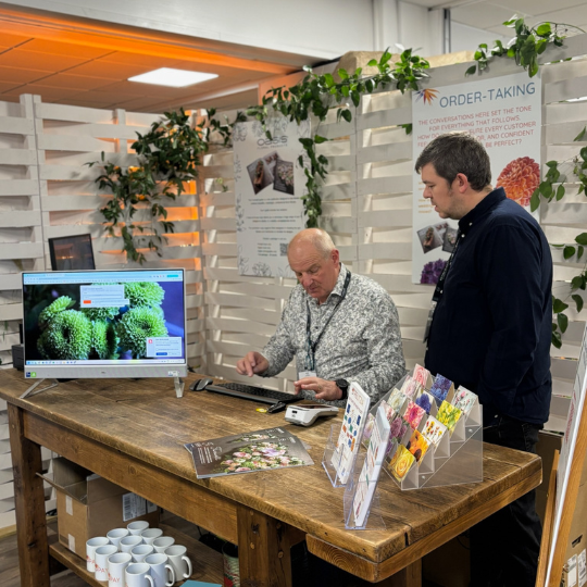 IT engineers in floristry